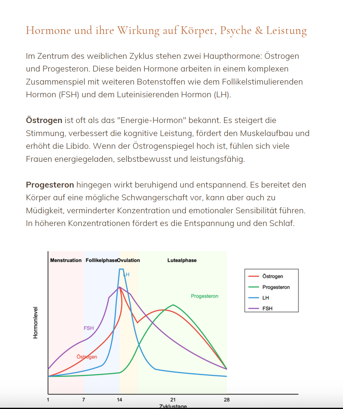CycleSync - Dein zyklusbasierter Leitfaden zur hormonoptimalen Ernährung und Trainingsgestaltung. 200 Seiten mit Ernährungsplänen und Tools für dein weibliches Wohlbefinden.